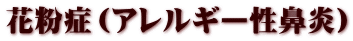 花粉症（アレルギー性鼻炎）